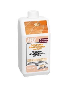 Hg limpiador uso diario suelos terracota -86-