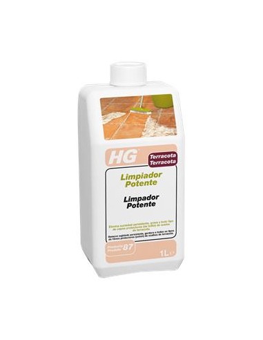 Hg limpiador profesional para terracota-87-