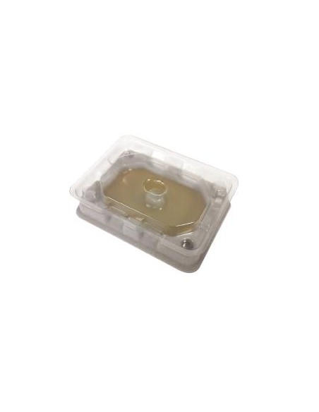 MONITOR TRAMPA CHINCHES CAMA - UD