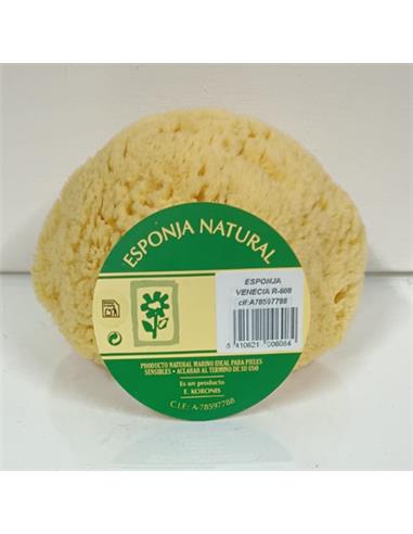 ESPONJA NATURAL VENECIA Nº608 - UD