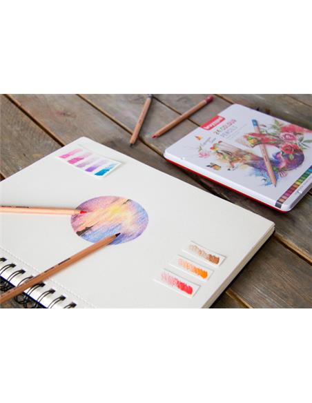 CAJA LAPICES COLOR EXPRESSION SERIES 24 UD