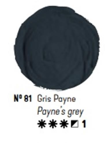 Oleo titan gris payne 20 ml.*