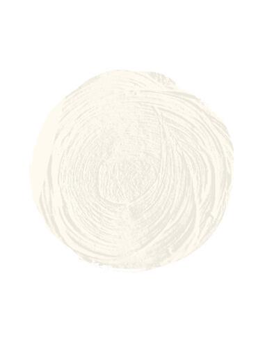 OLEO TITAN BLANCO ZINC 200 ml*
