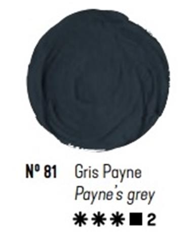 Acrilico titan gris payne 60 ml