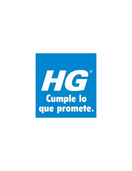 HG BAÑO PLATA POR INMERSION 0.3 LT